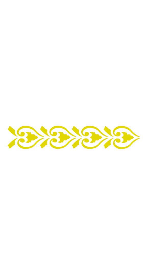 STENCIL 300X80MM 30003 - 1151 BORDA 2